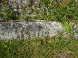 image of grave number 313167